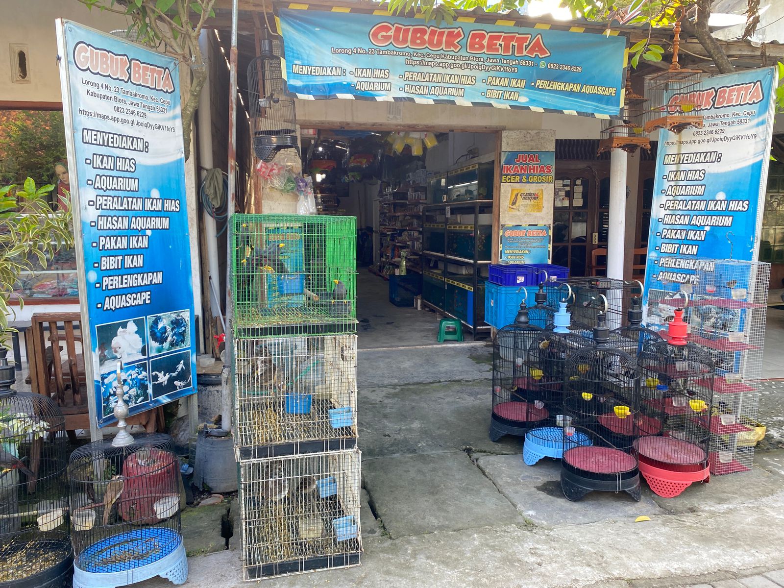 Gubuk Betta Pet, Aquarium & Fishing Shop