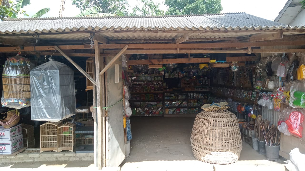 alex birdshop