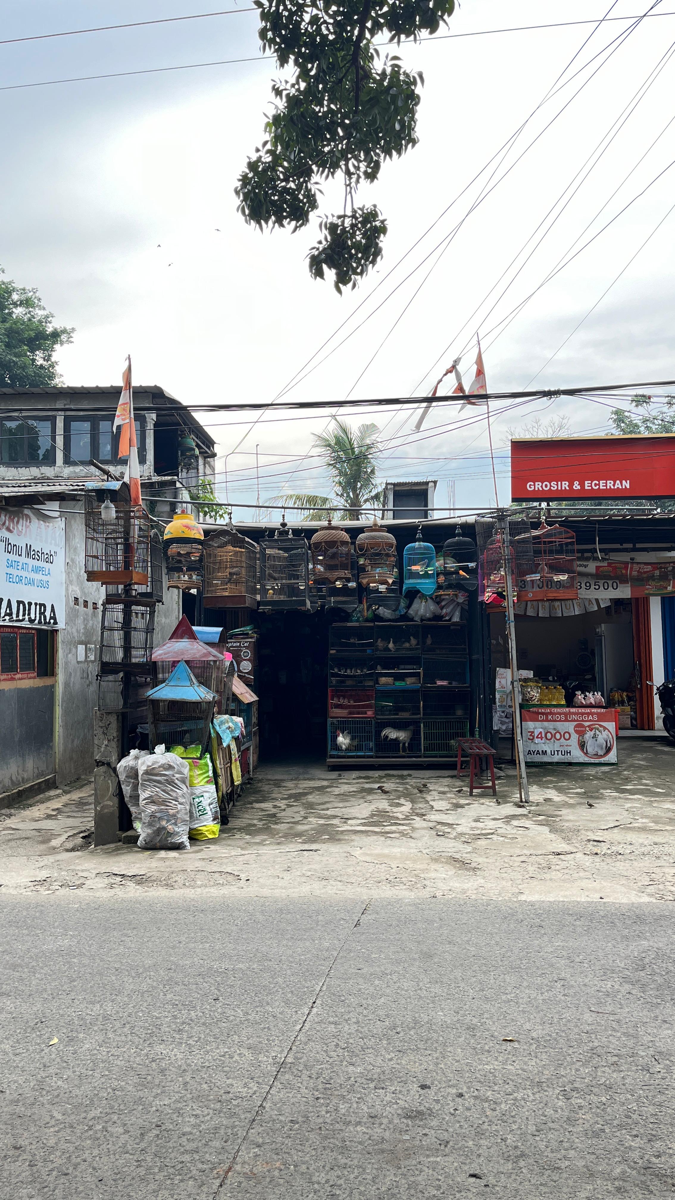 Kios Burung Bagus Jaya Mandiri 2