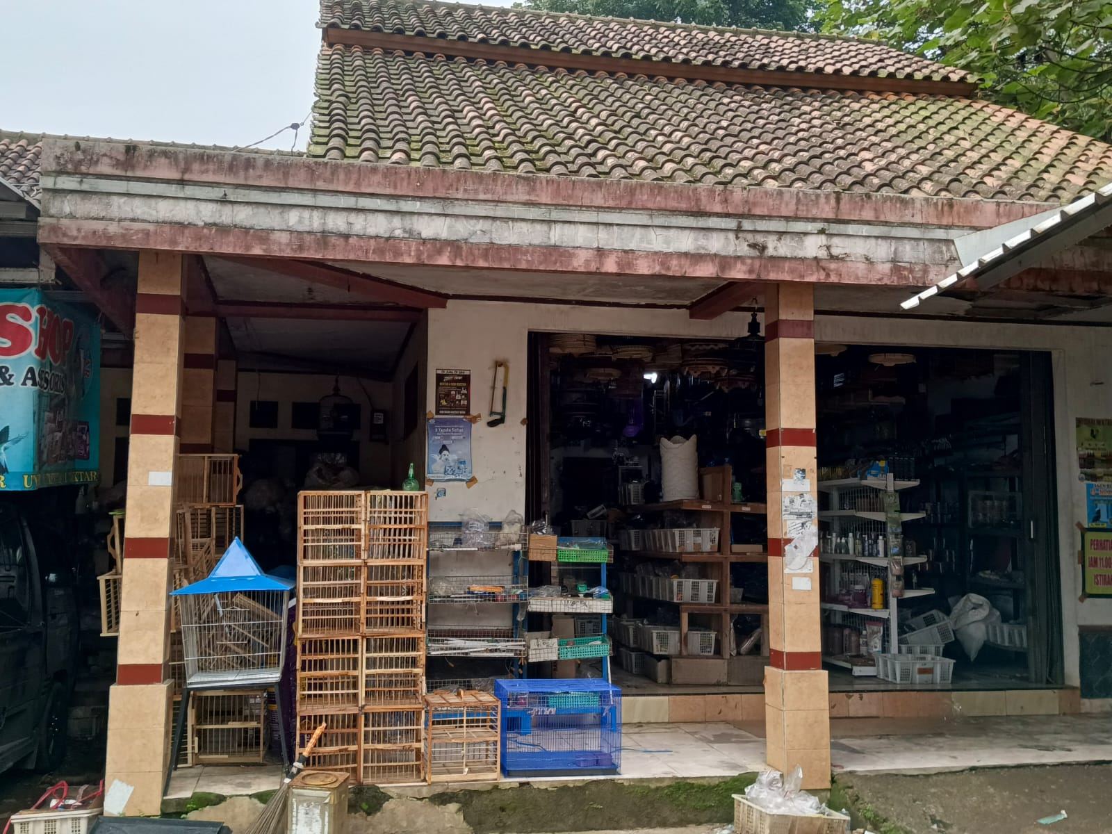 Bandar Lampung birdshop